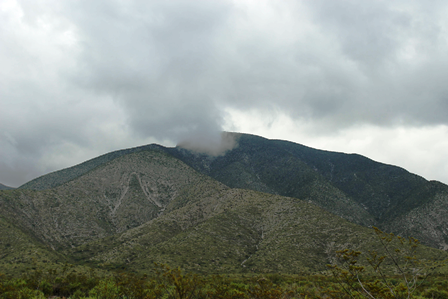 niebla que bajo del cerro quemado